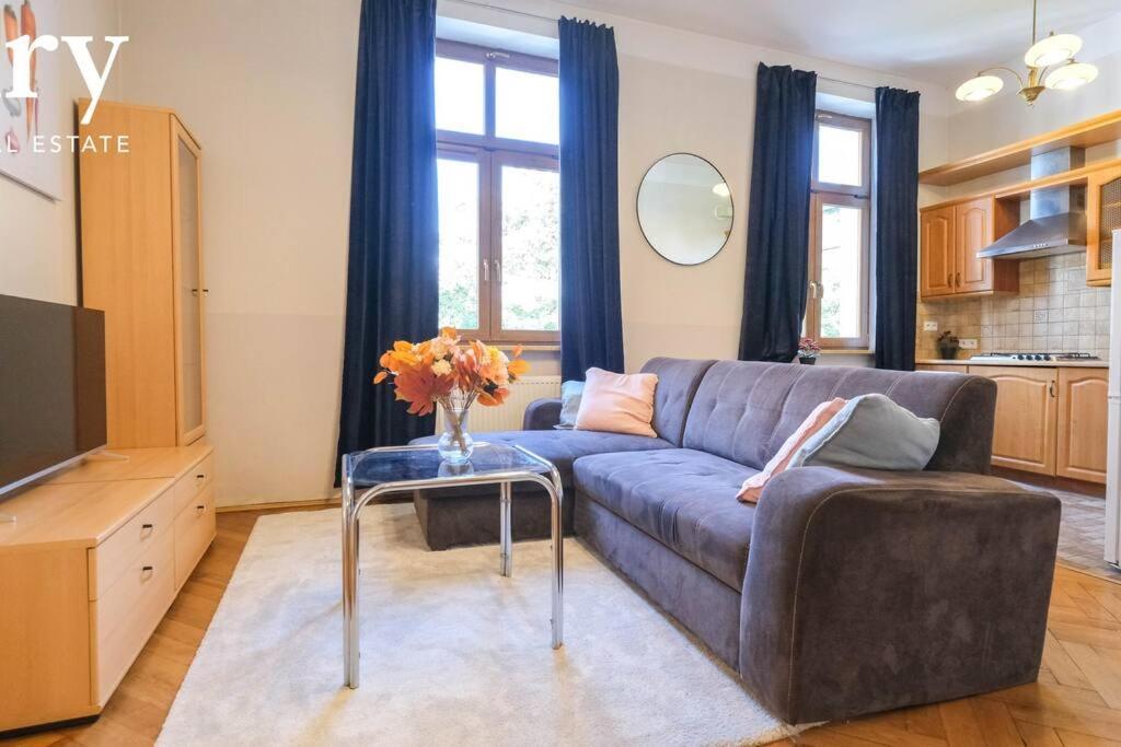 Apartament Big Cozy Free 1 Parking *