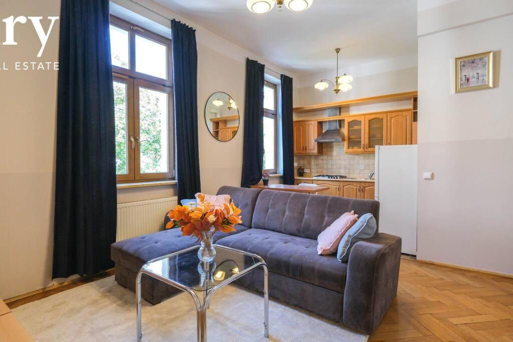 Big Cozy Free 1 Parking Apartament *